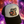 Load image into Gallery viewer, Cosmic Moose Hats