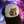 Load image into Gallery viewer, Cosmic Moose Hats
