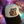 Load image into Gallery viewer, Cosmic Moose Hats