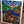 Load image into Gallery viewer, Grilling