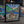Load image into Gallery viewer, Grilling