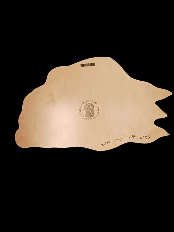 Snowboarding Through Space Gnome