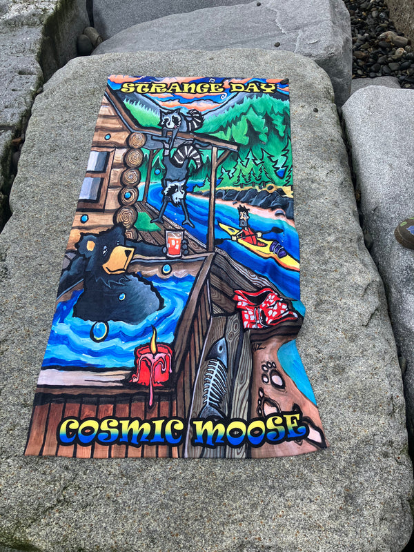 Cosmic Towels