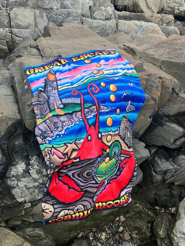 Cosmic Towels